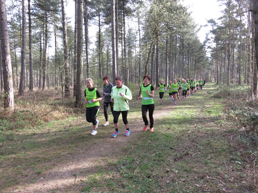 GielsBosloop 2015 - 030